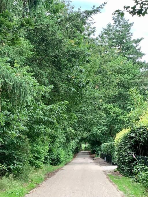 Op Boszicht Genieten Van De Rust & Natuur Putten Zewnętrze zdjęcie