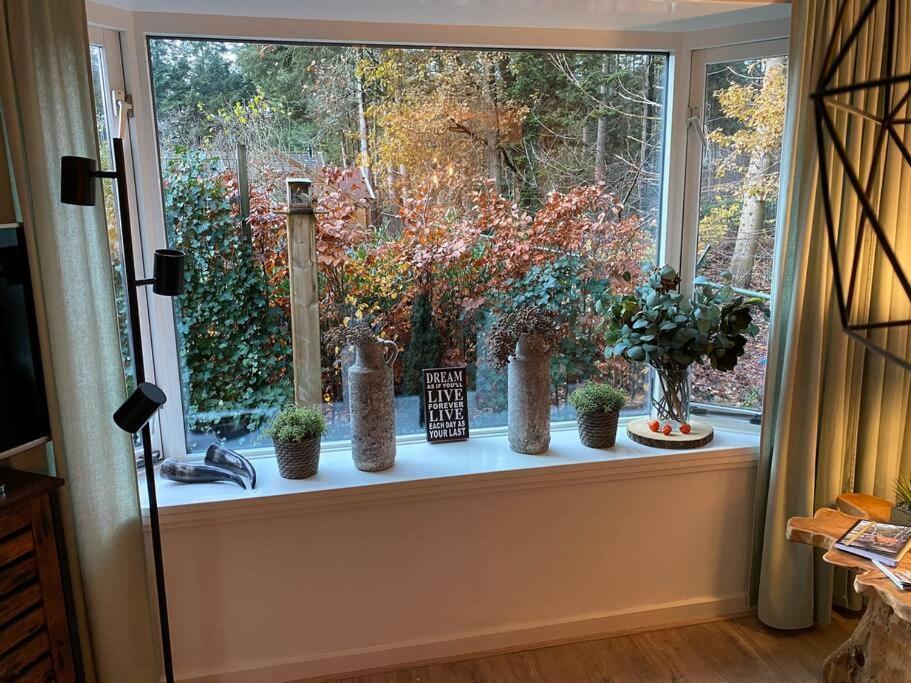 Op Boszicht Genieten Van De Rust & Natuur Putten Zewnętrze zdjęcie