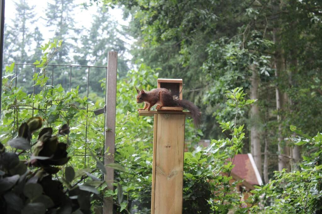 Op Boszicht Genieten Van De Rust & Natuur Putten Zewnętrze zdjęcie